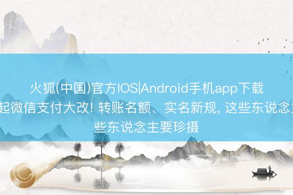 火狐(中国)官方IOS|Android手机app下载 6月1日起微信支付大改! 转账名额、实名新规， 这些东说念主要珍摄