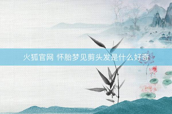 火狐官网 怀胎梦见剪头发是什么好奇