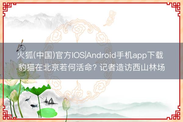火狐(中国)官方IOS|Android手机app下载 豹猫在北京若何活命? 记者造访西山林场