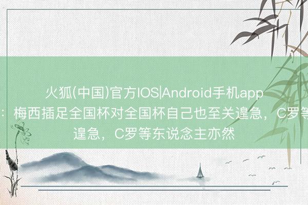 火狐(中国)官方IOS|Android手机app下载 因凡蒂诺：梅西插足全国杯对全国杯自己也至关遑急，C罗等东说念主亦然