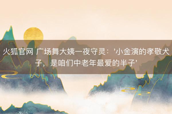 火狐官网 广场舞大姨一夜守灵：'小金演的孝敬犬子，是咱们中老年最爱的半子'