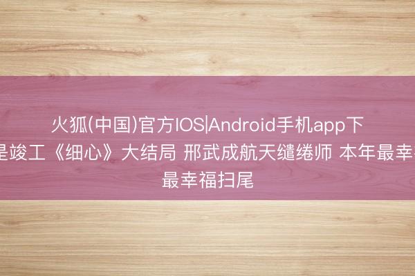 火狐(中国)官方IOS|Android手机app下载 全是竣工《细心》大结局 邢武成航天缱绻师 本年最幸福扫尾